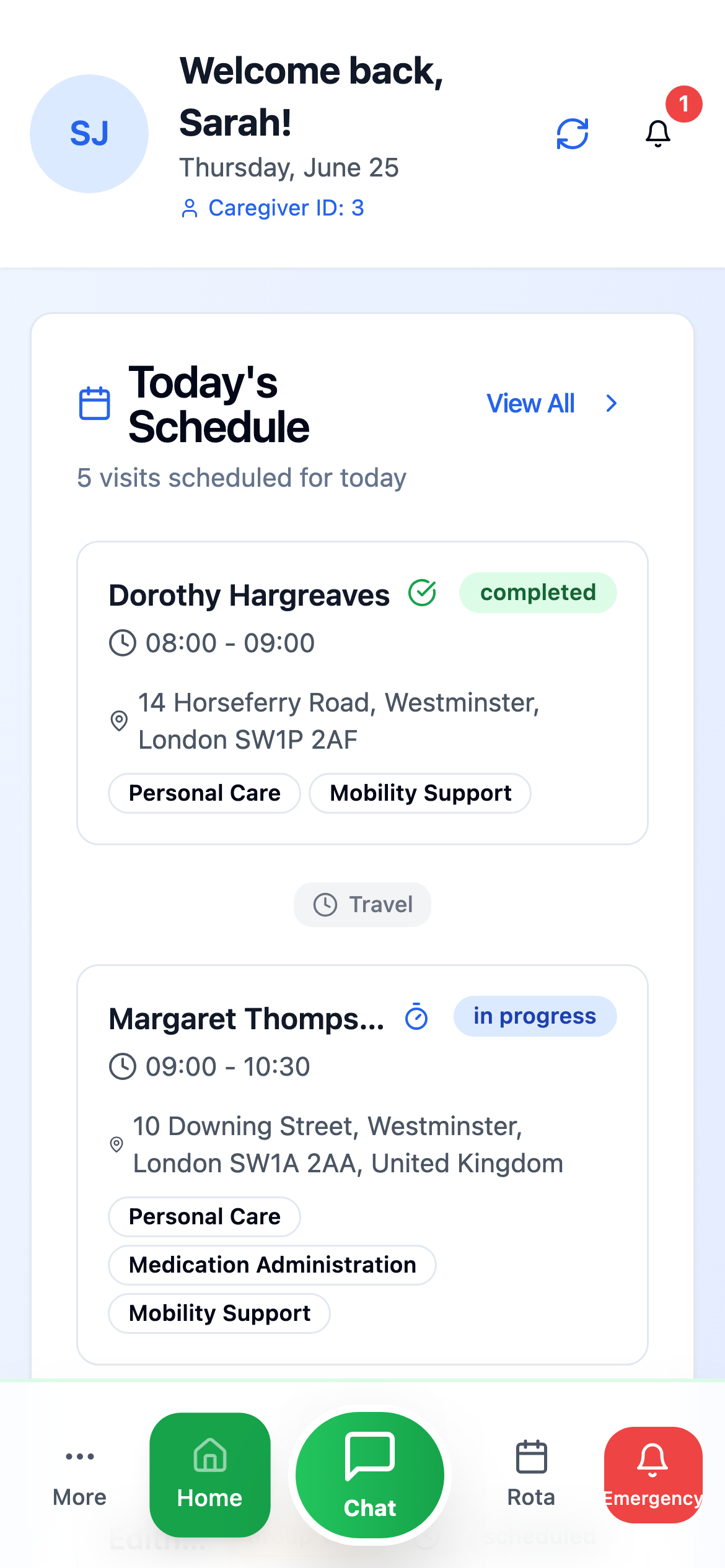 Carer app — today's round